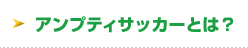 アンプティサッカーとは？